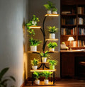 Indoor Shelf for Plants