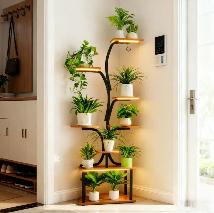 Indoor Shelf for Plants