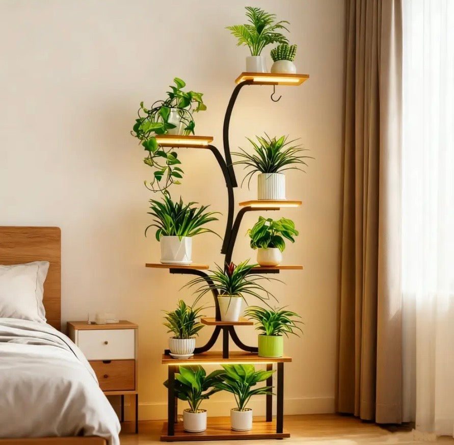 Indoor Shelf for Plants