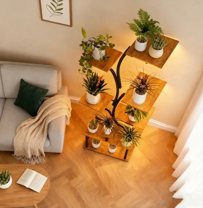 Indoor Shelf for Plants