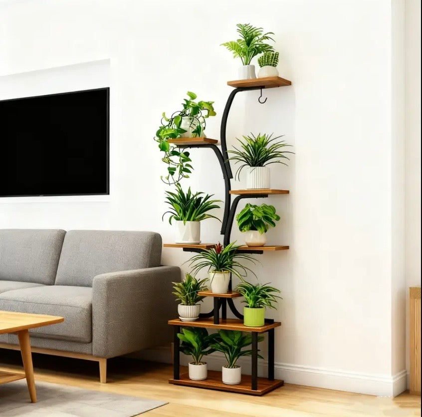 Indoor Shelf for Plants