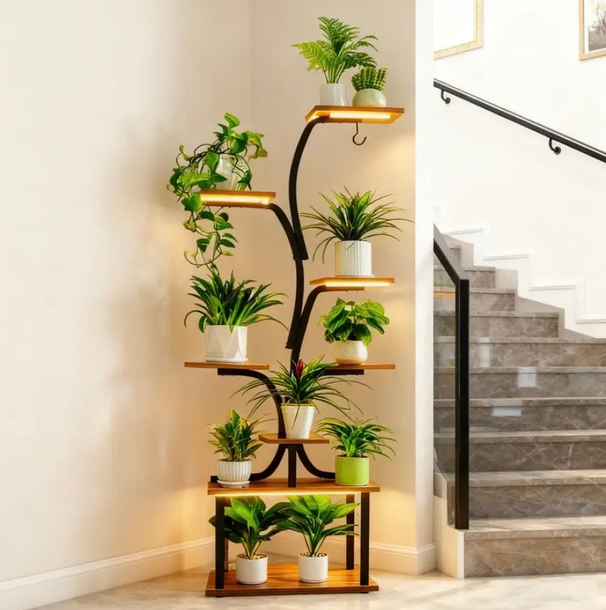 Indoor Shelf for Plants