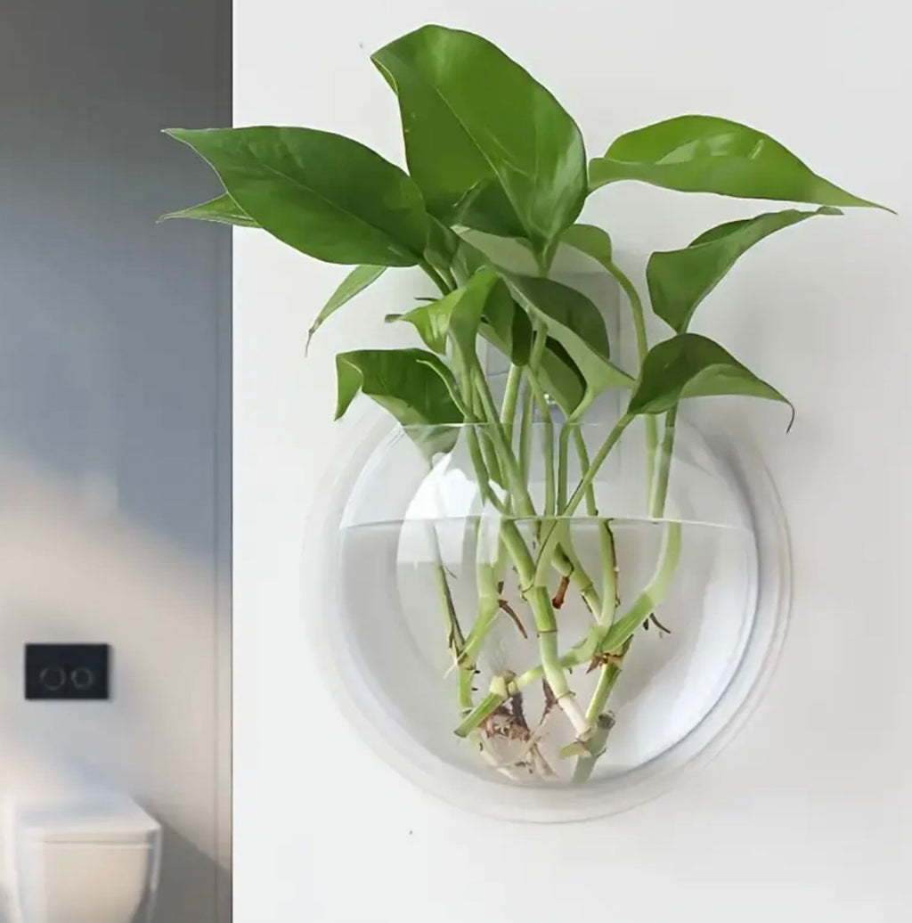 Wall Mounted Hydroponic Planter - Dual-Purpose Fish Tank & Flower Pot for Home & Office