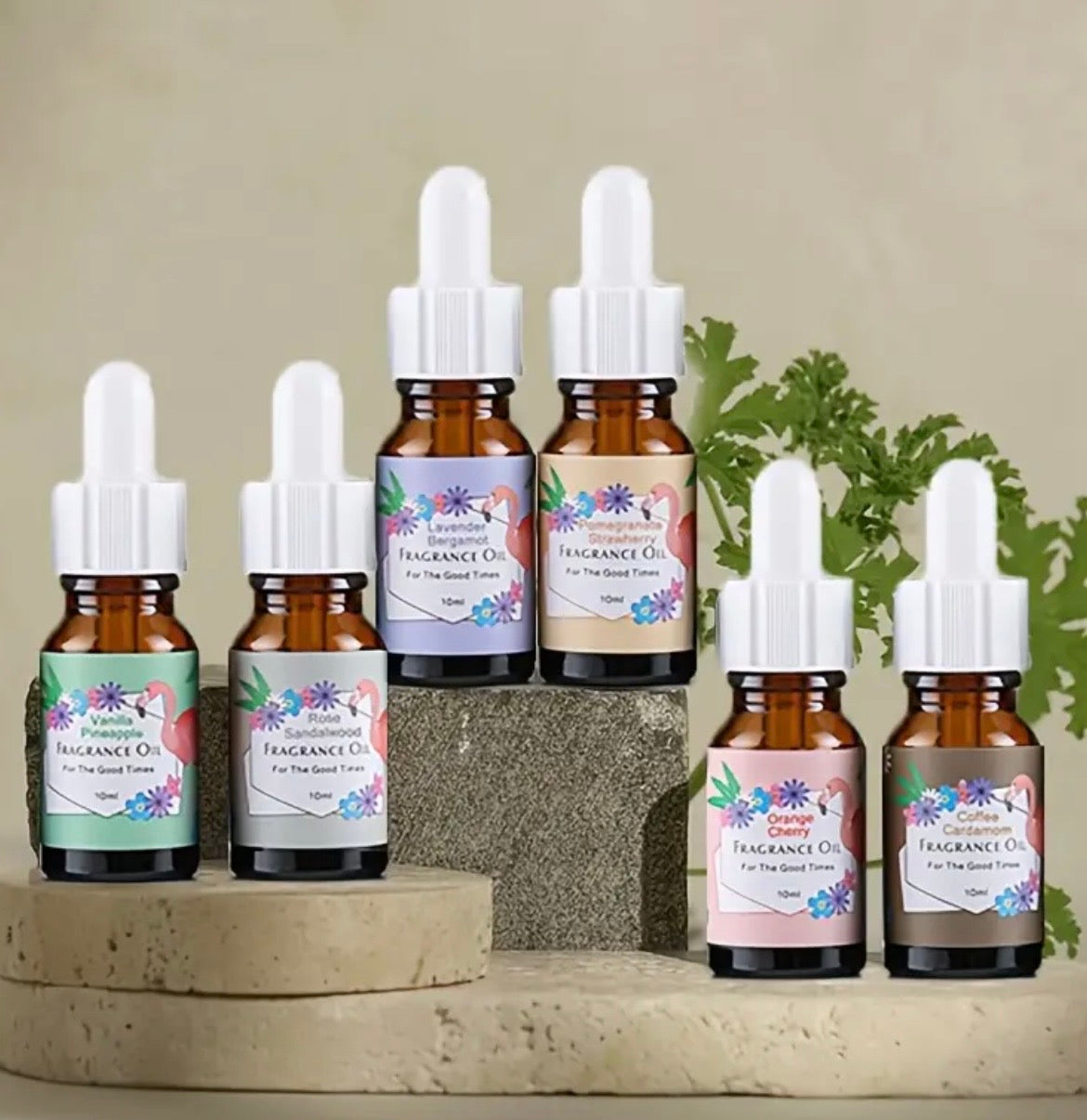 6-Piece Fragrance Oil Set - Premium Aromatherapy Collection (Lavender, Rose, Vanilla & More) | Gift Set for Diffusers