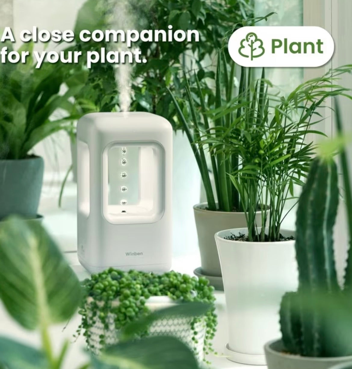 Desktop Humidifier for Plants & Bedroom - 20oz Cool Mist with Auto Shut-Off